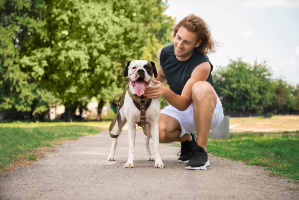 dog with owner